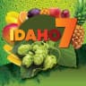Idah