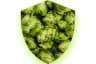 CITRA Roh Alpha