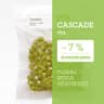 Cascade USA
