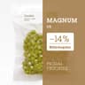 Magnum