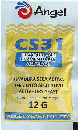 Angel CS31