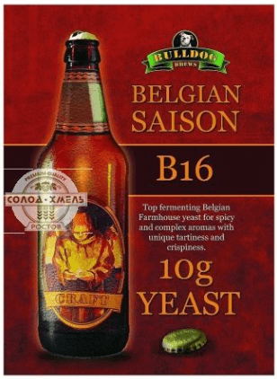 Bulldog B16 Belgian Saison