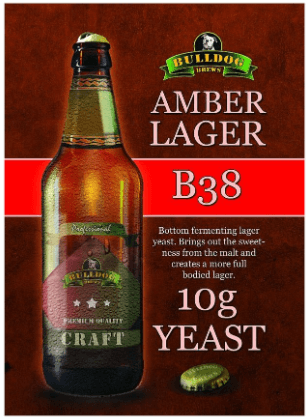 Bulldog B38 Amber Lager